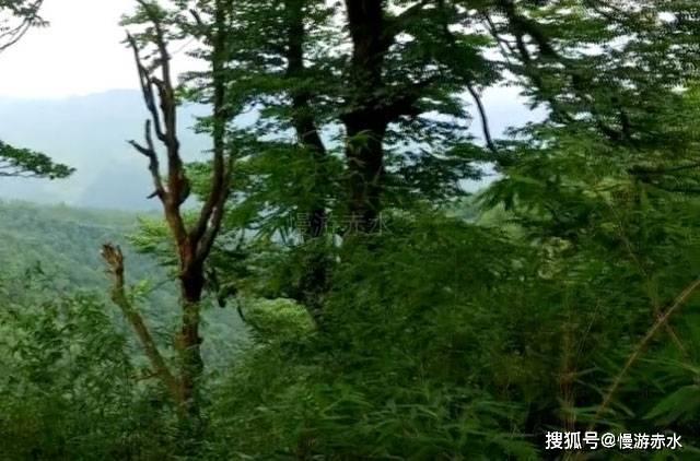 刘邦为增加人口出台奇葩政策,女人叫苦,男人叫好