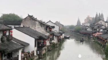 让动物飞一会
